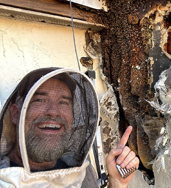 Bee Relocation