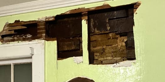 Repaired wall after bee hive relocation