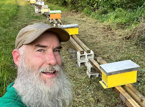 Beekeeper assessing bee hive location