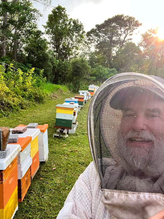 Transporting sealed bee hive